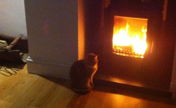 log burner