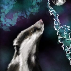 Moon Gazing Badger Print