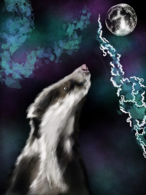 Moon Gazing Badger Print