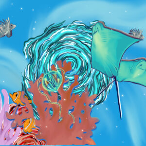 Within the bubble 1-2