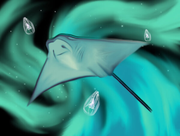 Within the bubble 3-1