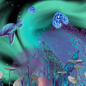 Within the bubble 3-5