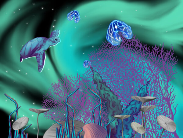 Within the bubble 3-5