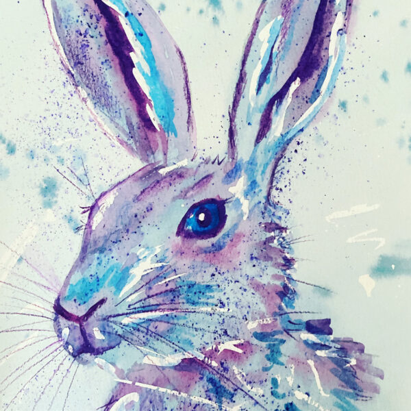 Blue Hare