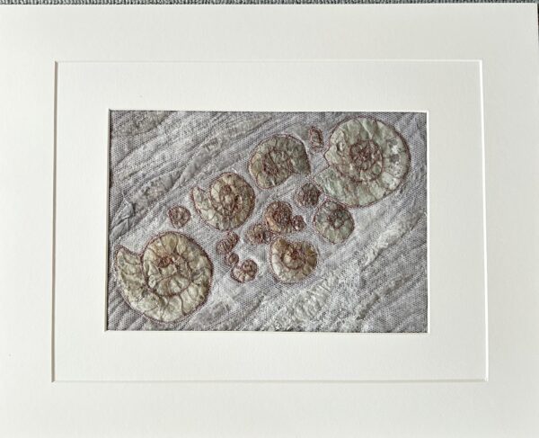 2 D Fossils made in textiles