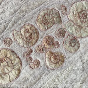 Remains of the Day - Fossil Study