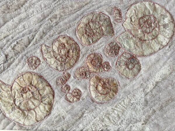 Remains of the Day - Fossil Study