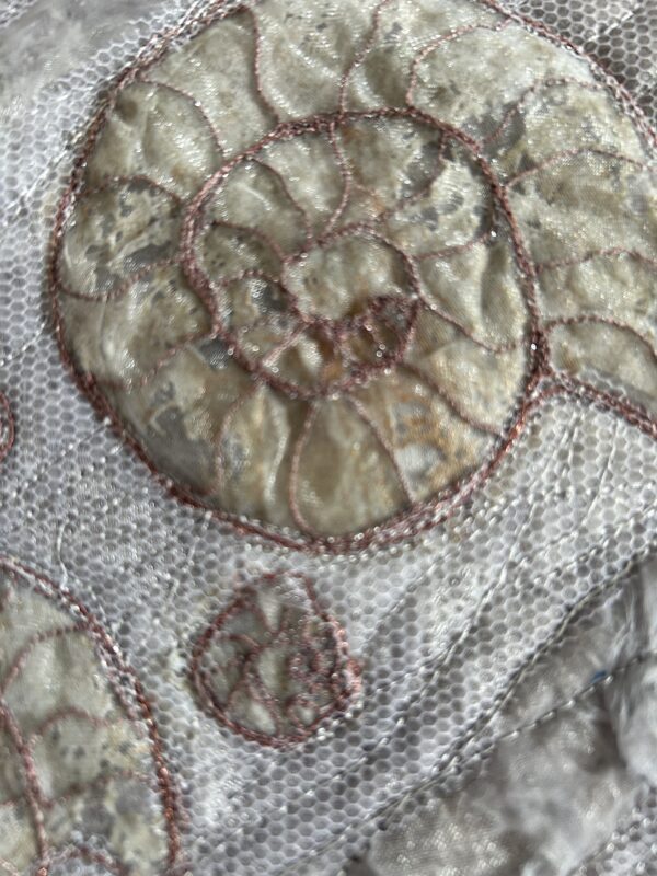 Remains of the Day - Fossil Study - Image 2